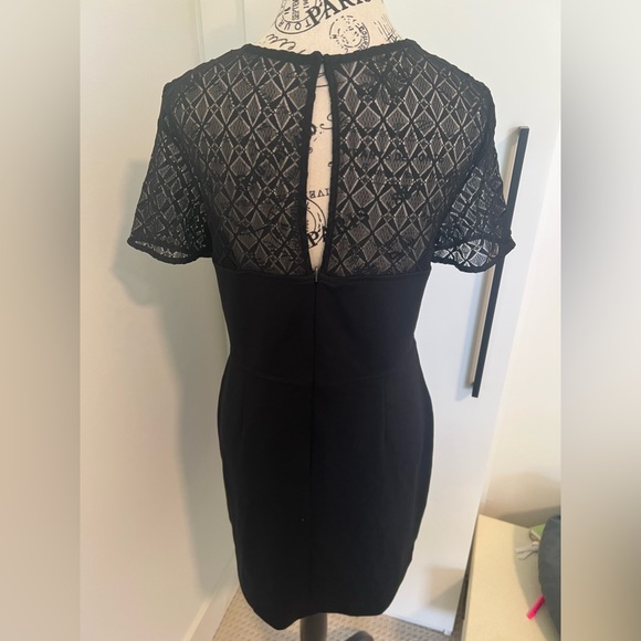 Lace Mini Dress - Picture 5 of 6